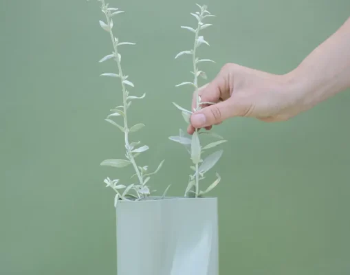 houseplants-supplies-shop_p_2